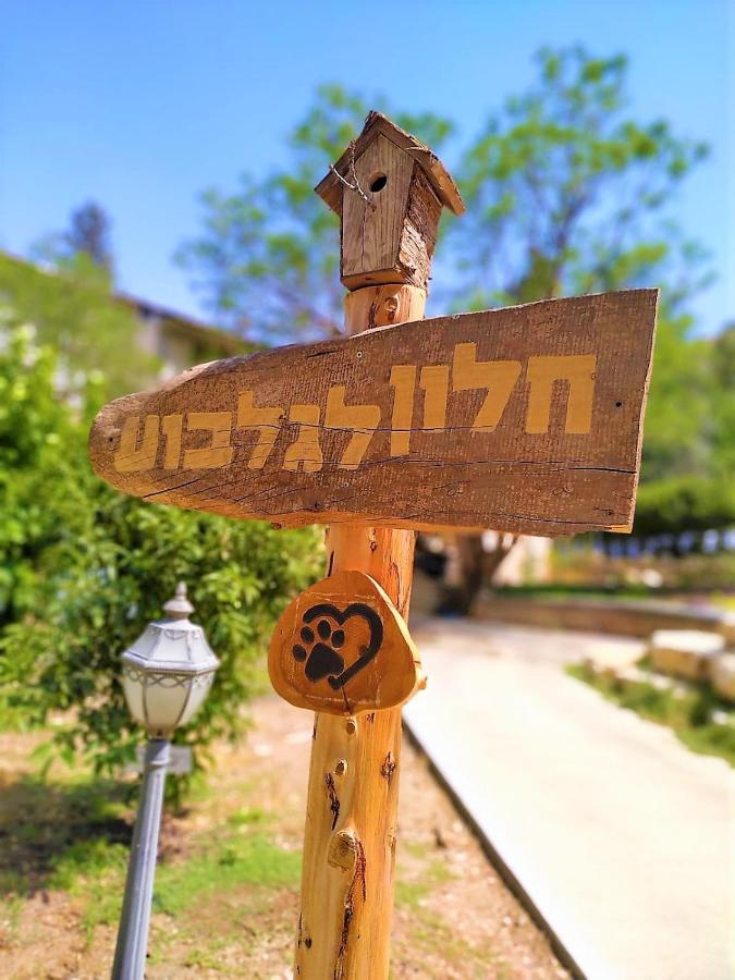 חלון לגלבוע צימר בוטיק בעמק המעיינות Bet Alfa Ngoại thất bức ảnh