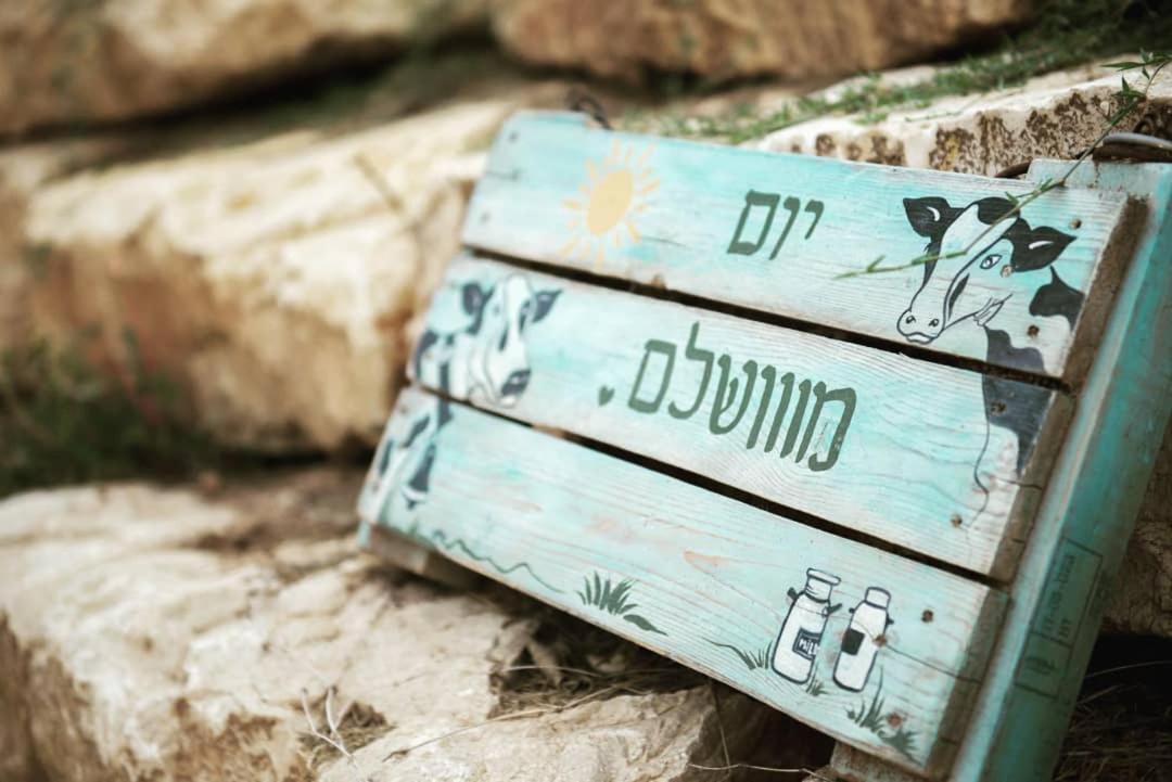חלון לגלבוע צימר בוטיק בעמק המעיינות Bet Alfa Ngoại thất bức ảnh