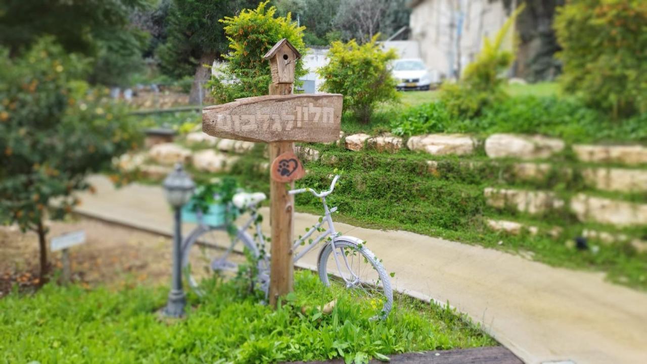 חלון לגלבוע צימר בוטיק בעמק המעיינות Bet Alfa Ngoại thất bức ảnh